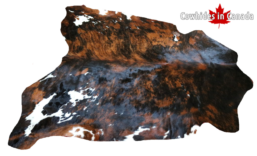 99343- Cowhide Rug TRICOLOR  - Premium Collection