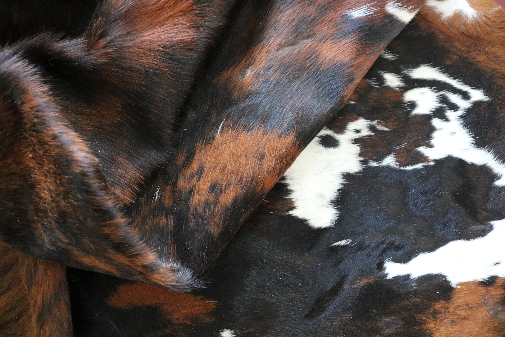 99343- Cowhide Rug TRICOLOR  - Premium Collection