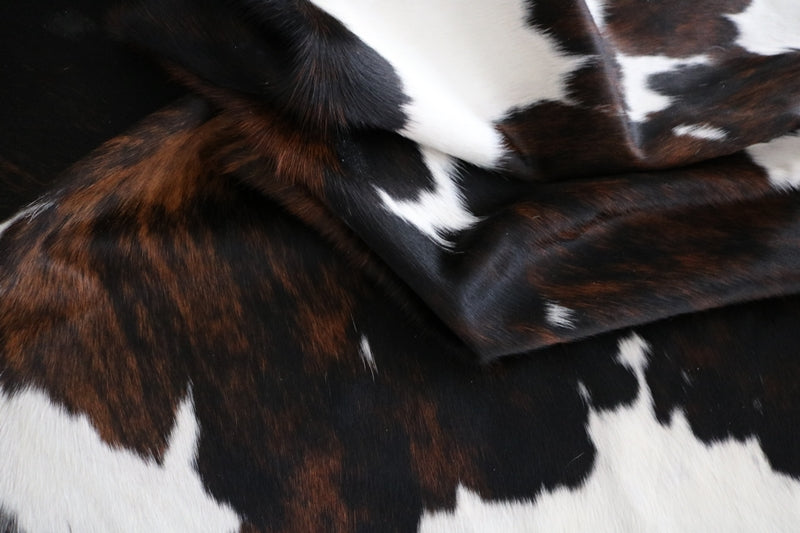 Cowhide Rug Tricolor. Premium Collection XXXL. Code 97006.