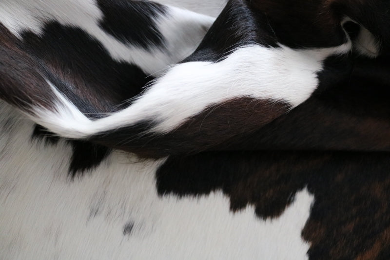 Big XXXL Cowhide Rug Tricolor. Premium Collection. Code 97008.