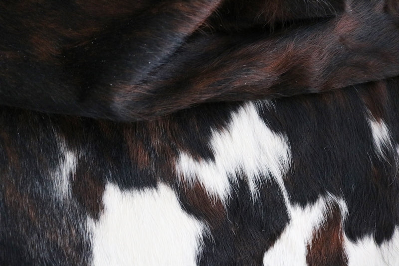 Big Real XXXL Cowhide Rug Tricolor. Premium Collection. Code 97009