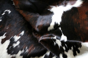 Big Real XXXL Cowhide Rug Tricolor. Premium Collection. Code 97011.