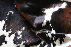 Big Real XXXL Cowhide Rug Tricolor. Premium Collection. Code 97011.