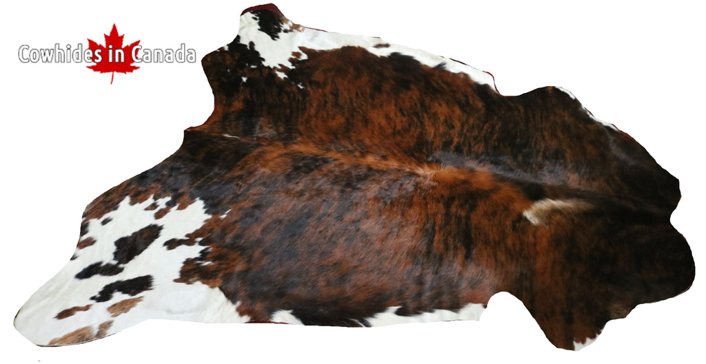200552- Cowhide Rug TRICOLOR  - Premium Collection