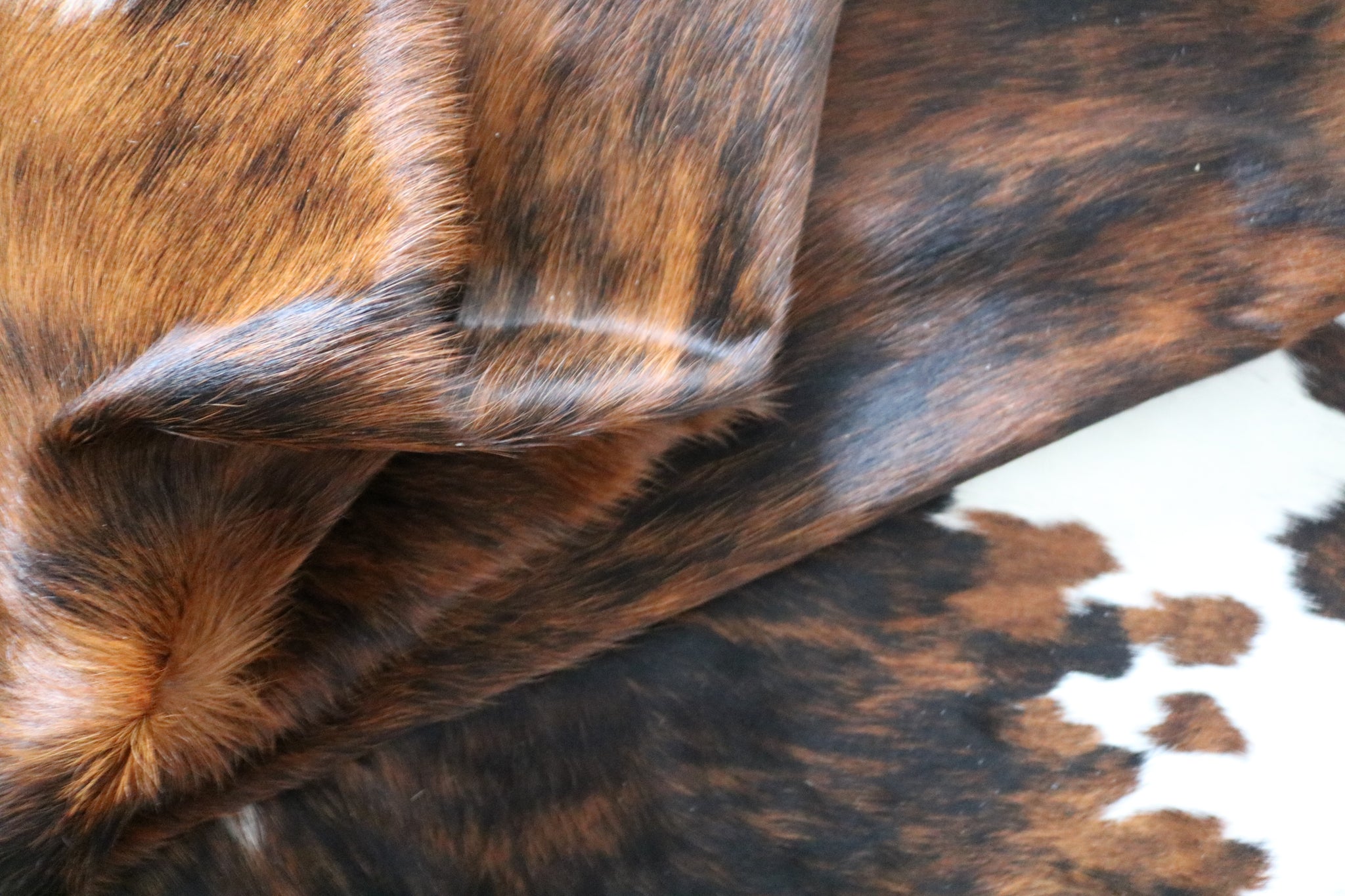 200552- Cowhide Rug TRICOLOR  - Premium Collection