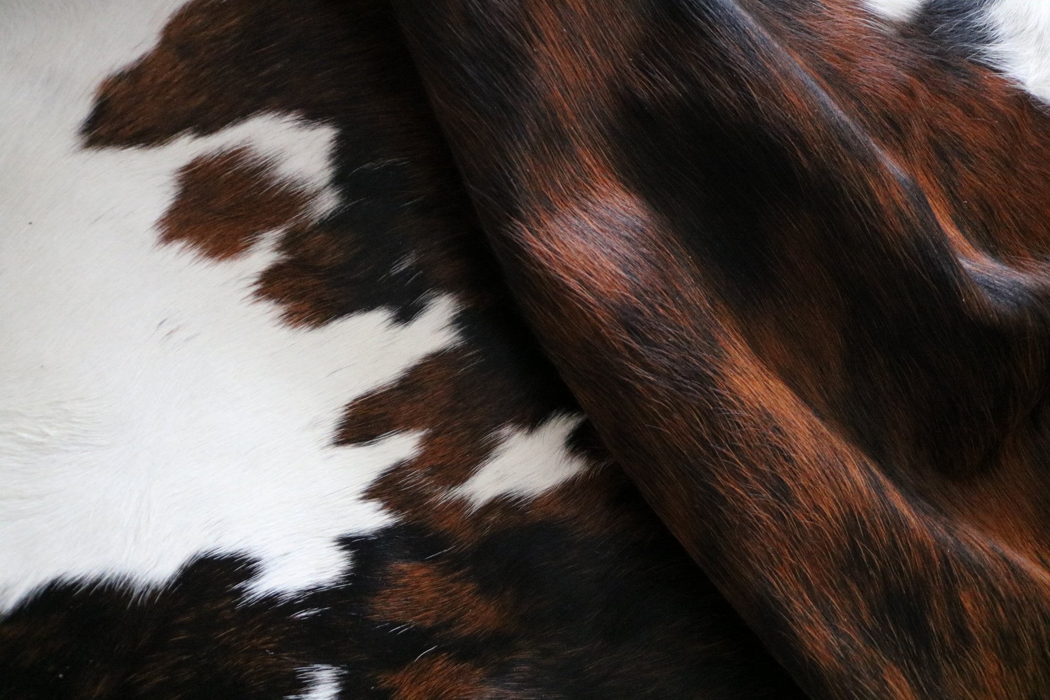 200552- Cowhide Rug TRICOLOR  - Premium Collection