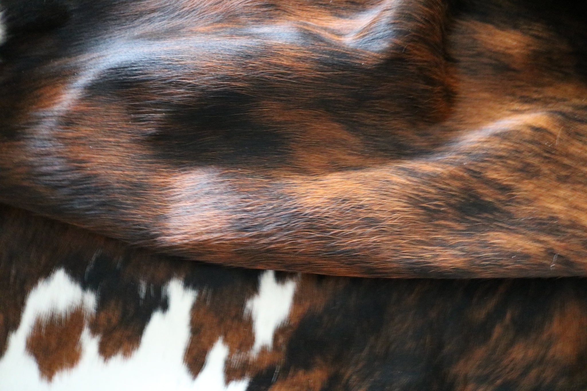 200552- Cowhide Rug TRICOLOR  - Premium Collection