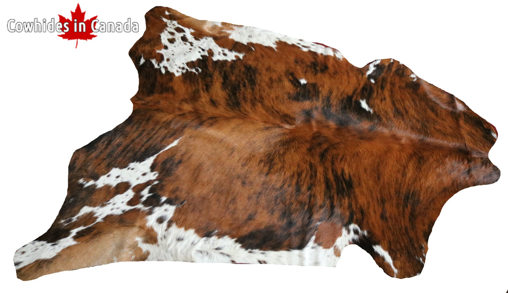 200553- Cowhide Rug TRICOLOR  - Premium Collection