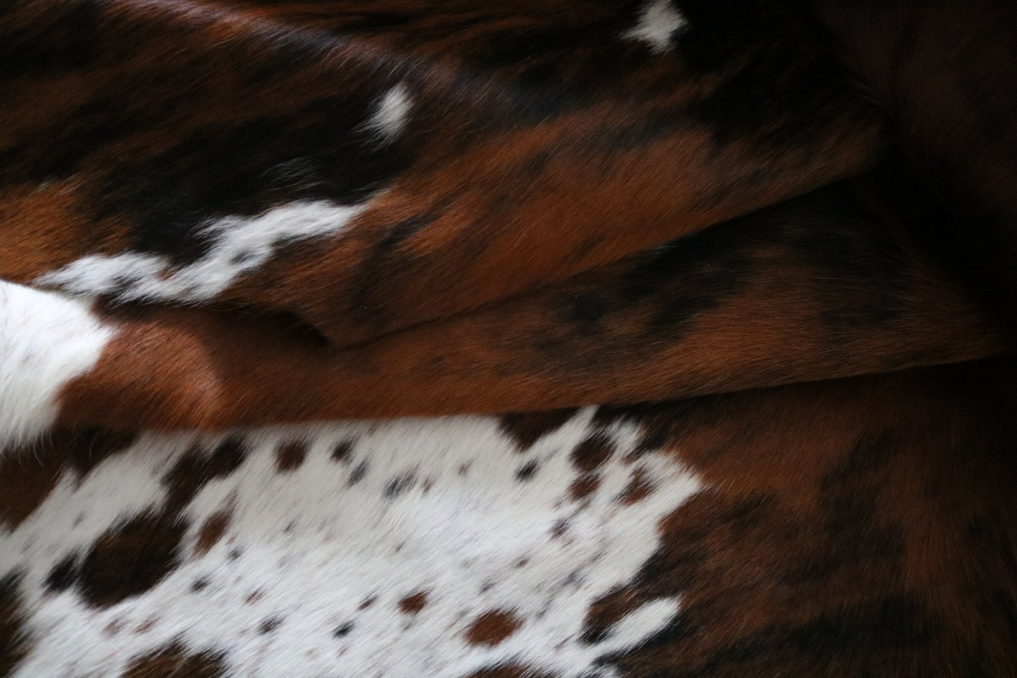 200553- Cowhide Rug TRICOLOR  - Premium Collection