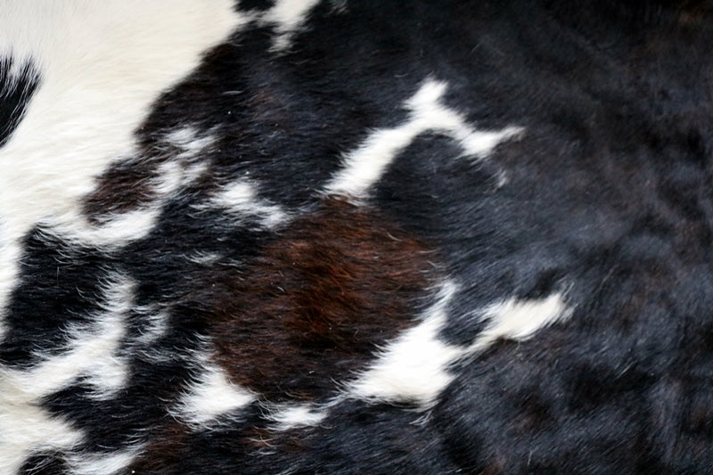 Cowhide Rug Tricolor. Premium Collection. Code 97013.