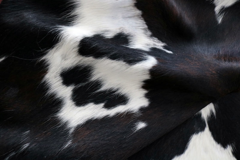 XXXL Cowhide Rug Tricolor. Premium Collection. Code 97014.