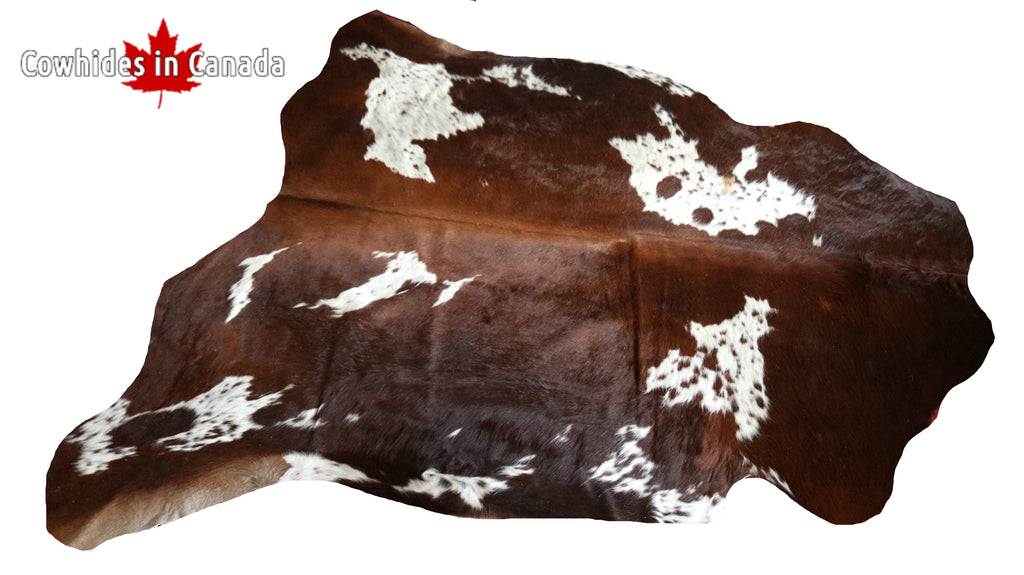 99344- Cowhide Rug TRICOLOR  - Premium Collection
