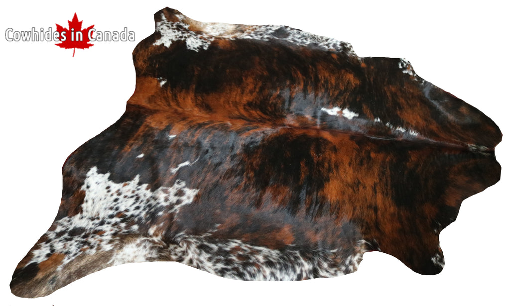 99345- Cowhide Rug TRICOLOR  - Premium Collection