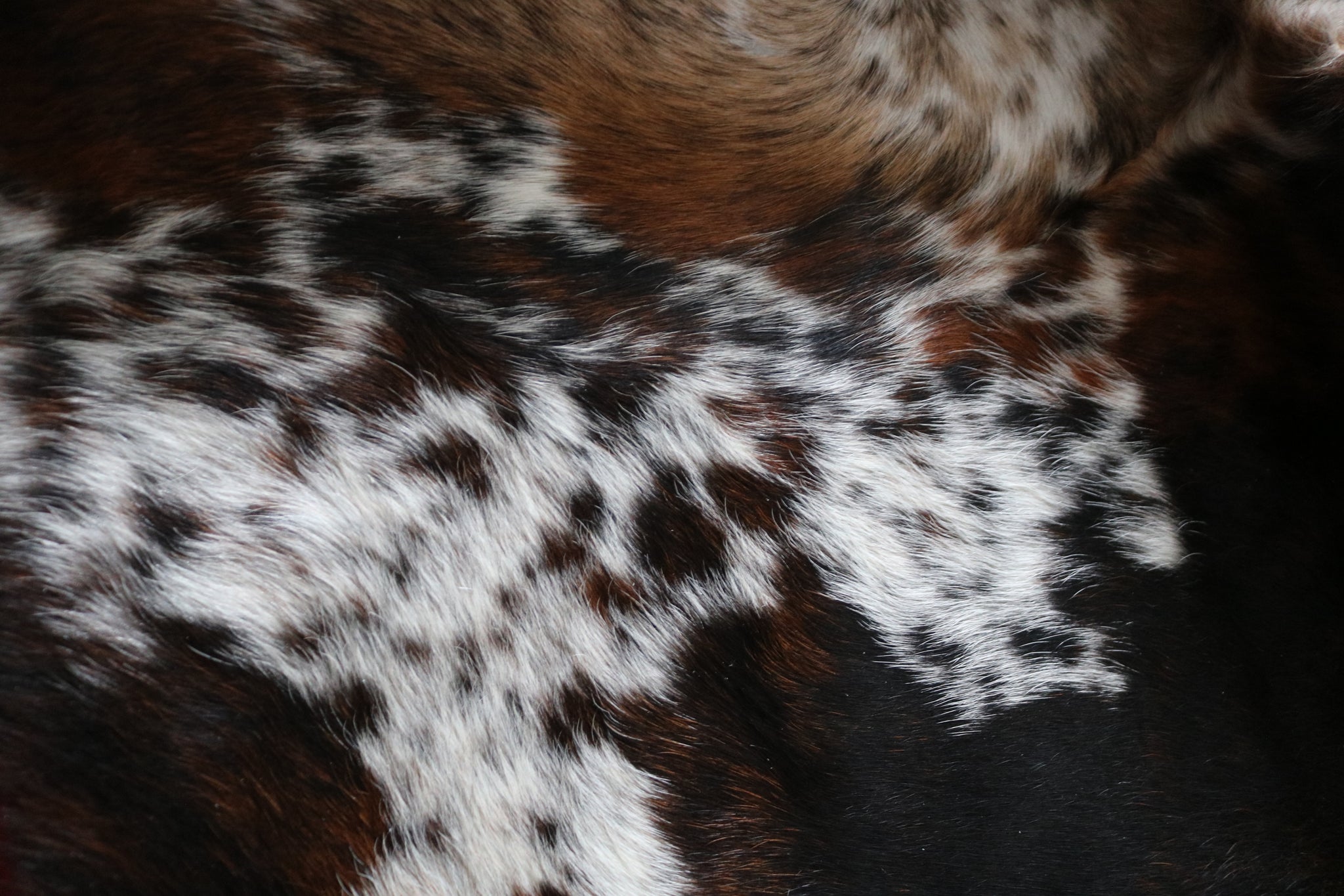 99345- Cowhide Rug TRICOLOR  - Premium Collection