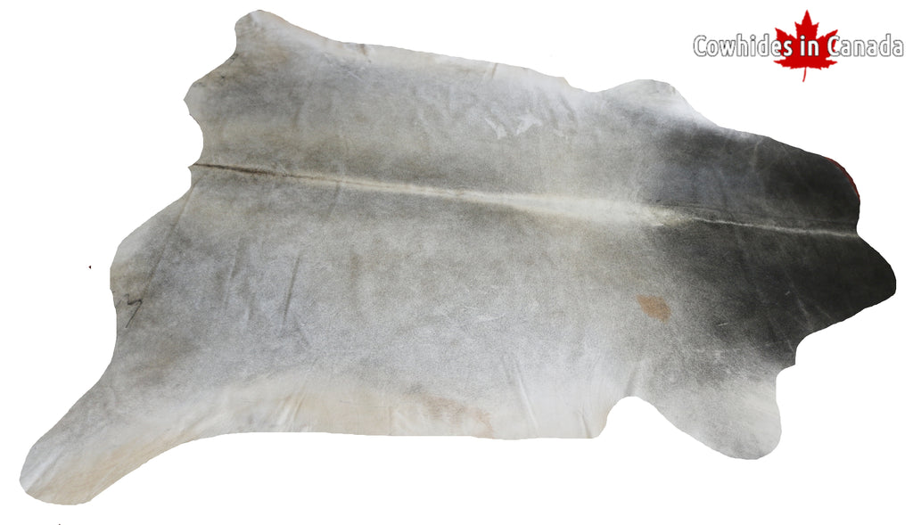 99347- SUPER BIG GREY  Cowhide Rug  SIZE XXXL - Premium Collection