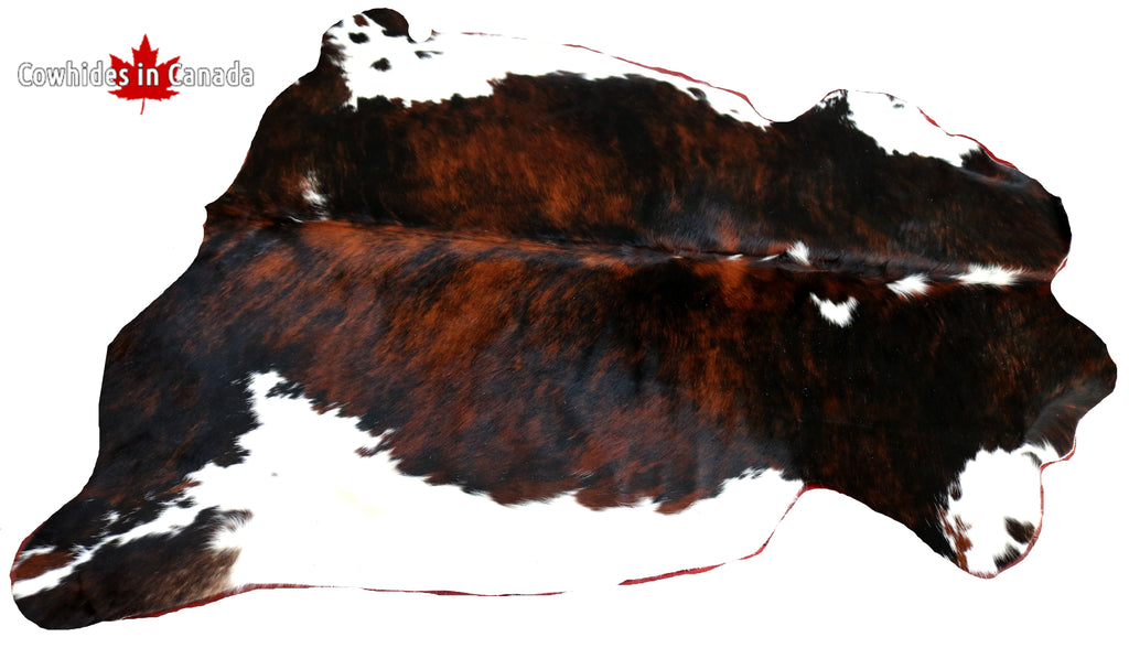 99348- Cowhide Rug TRICOLOR  - Premium Collection