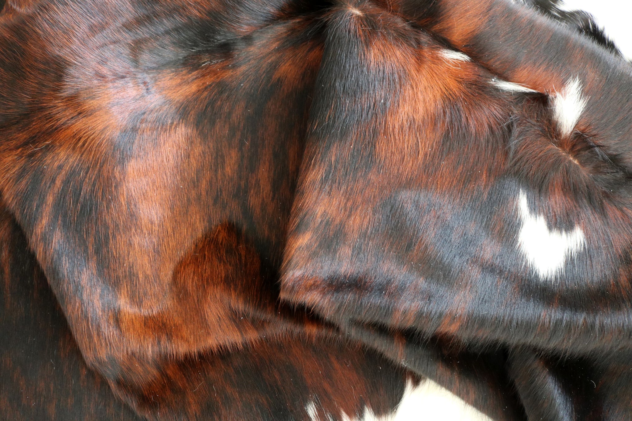 99348- Cowhide Rug TRICOLOR  - Premium Collection