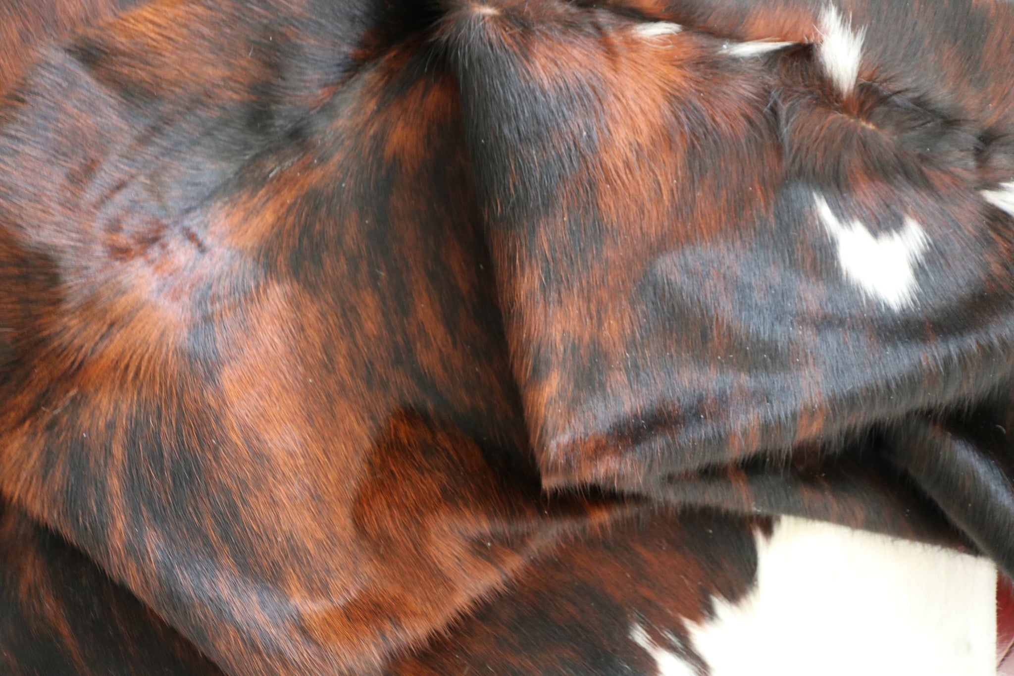 99348- Cowhide Rug TRICOLOR  - Premium Collection