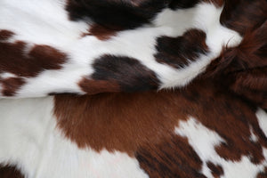 Cowhide Rug Tricolor XXL Premium Collection. Code 97019.