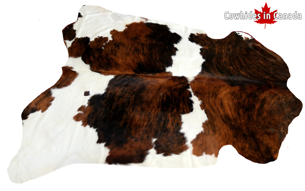 99350- Cowhide Rug TRICOLOR  - Premium Collection