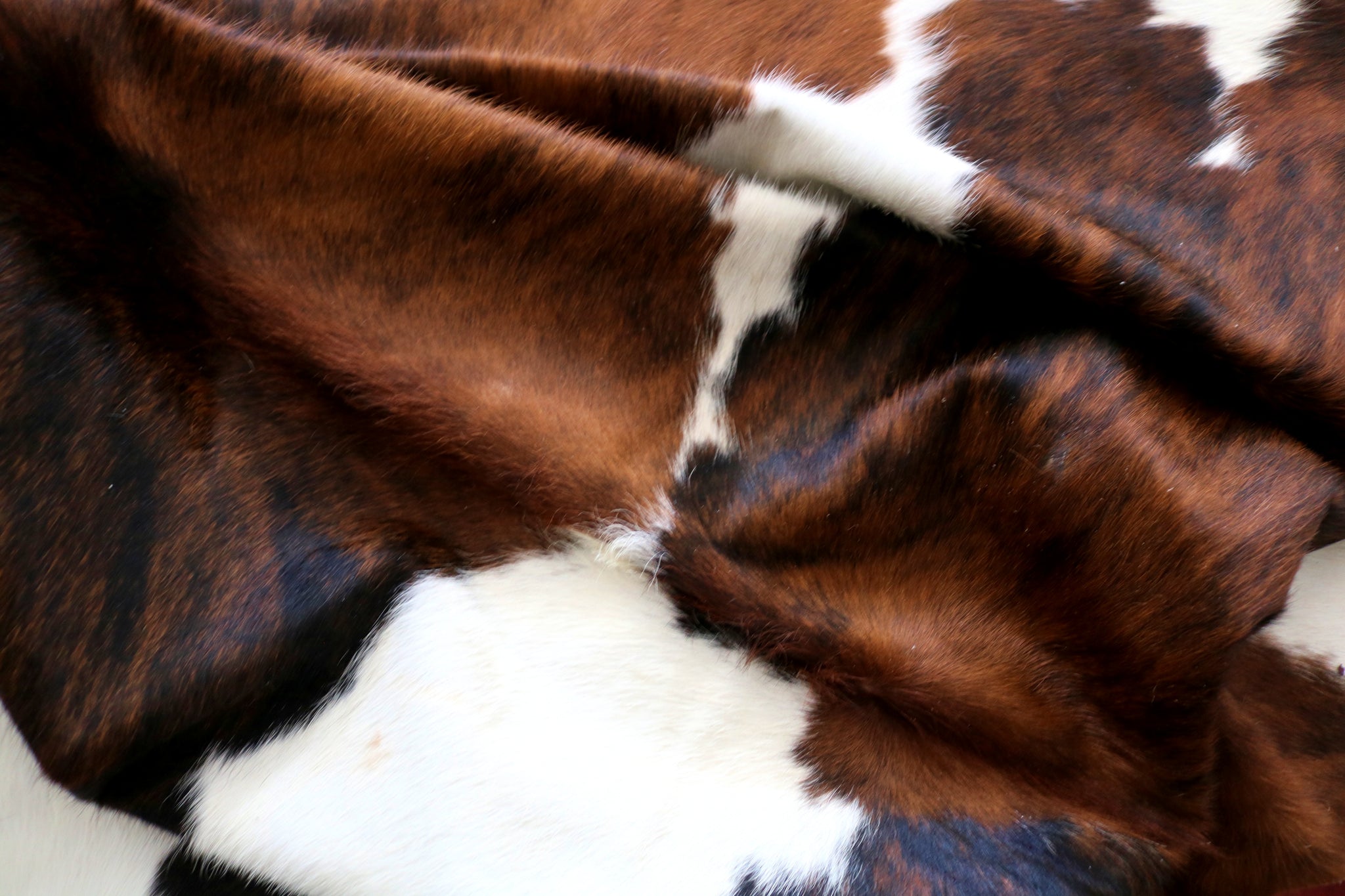 99350- Cowhide Rug TRICOLOR  - Premium Collection