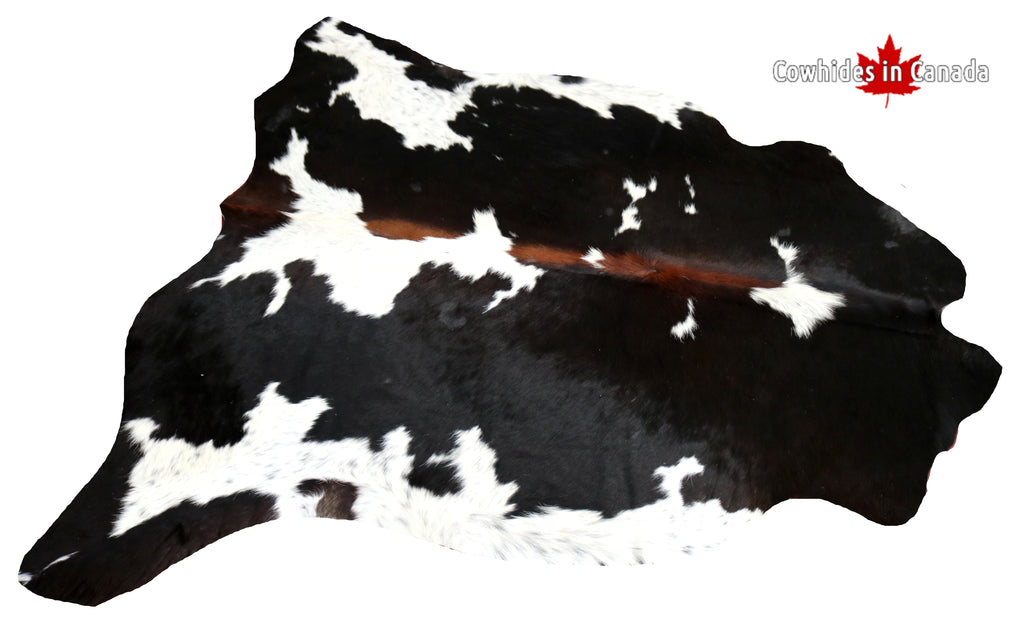 99351- Cowhide Rug TRICOLOR  - Premium Collection
