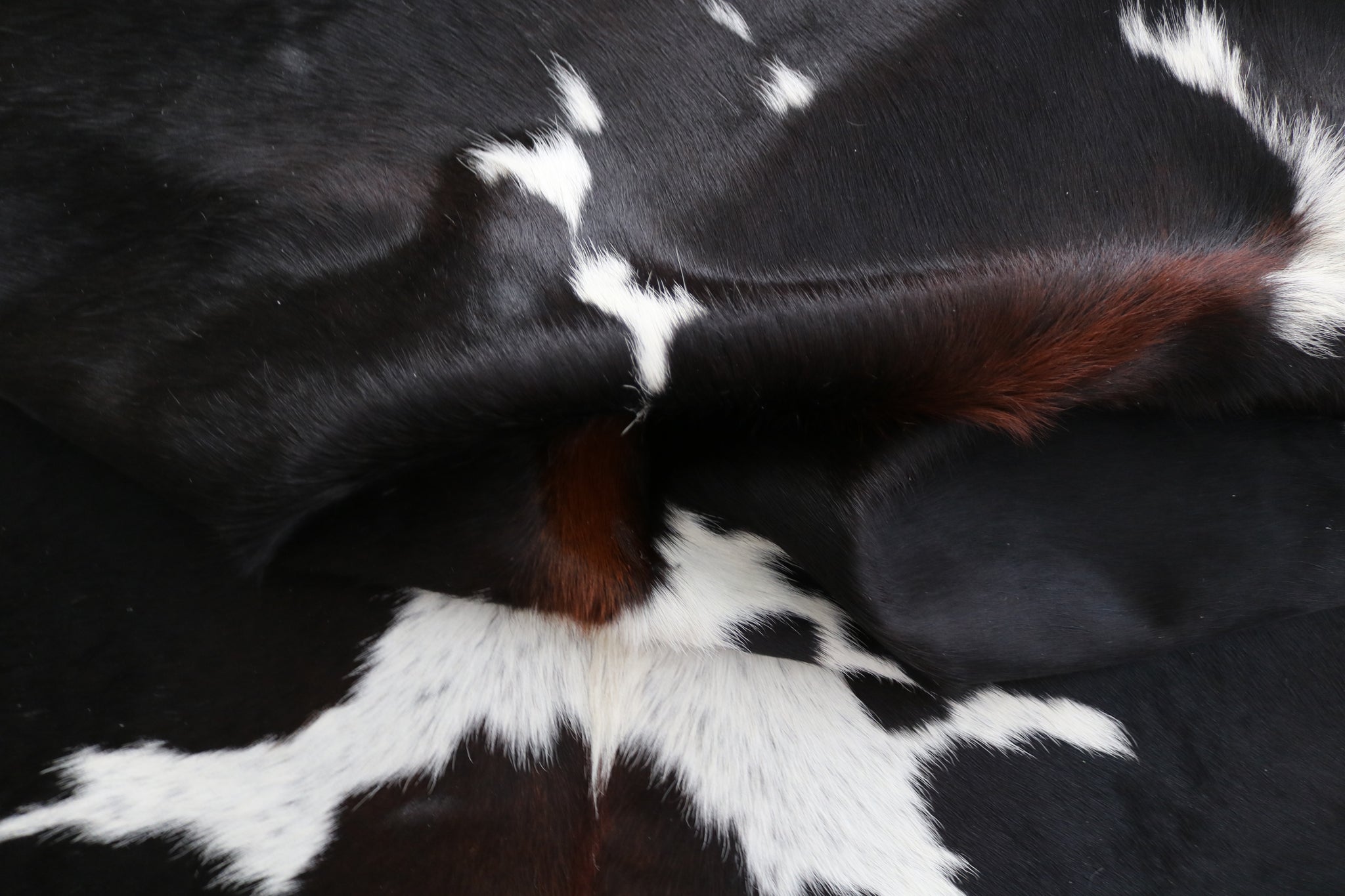 99351- Cowhide Rug TRICOLOR  - Premium Collection