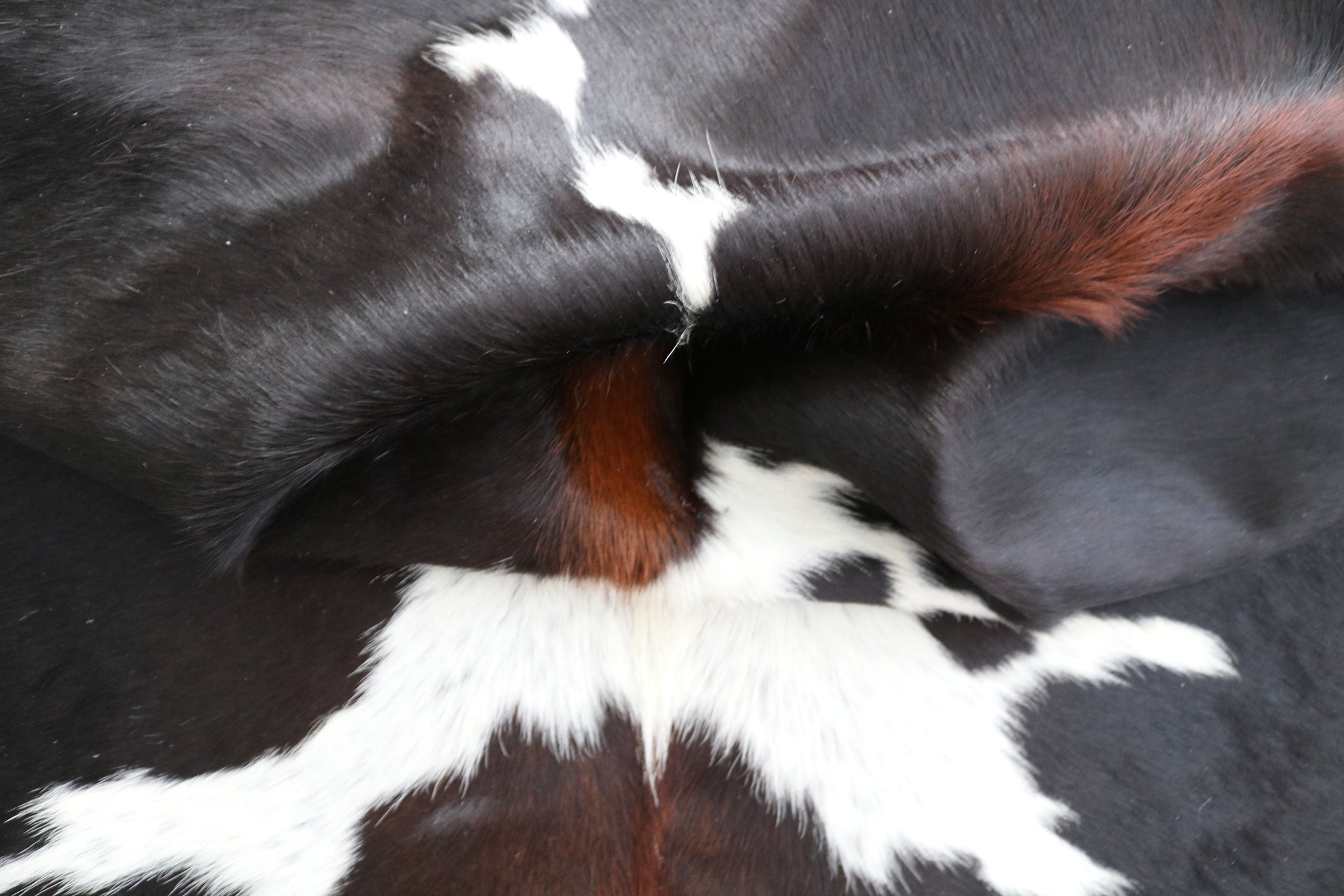 99351- Cowhide Rug TRICOLOR  - Premium Collection