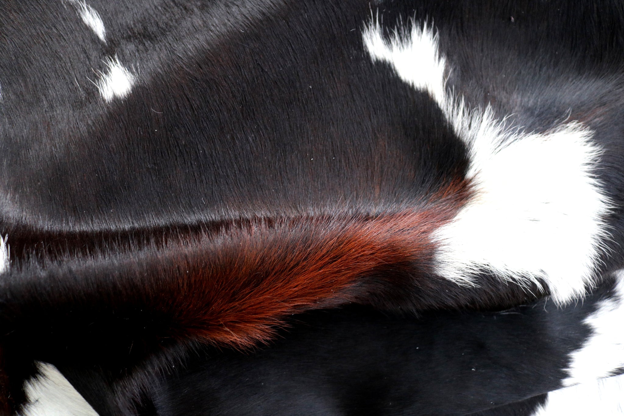 99351- Cowhide Rug TRICOLOR  - Premium Collection