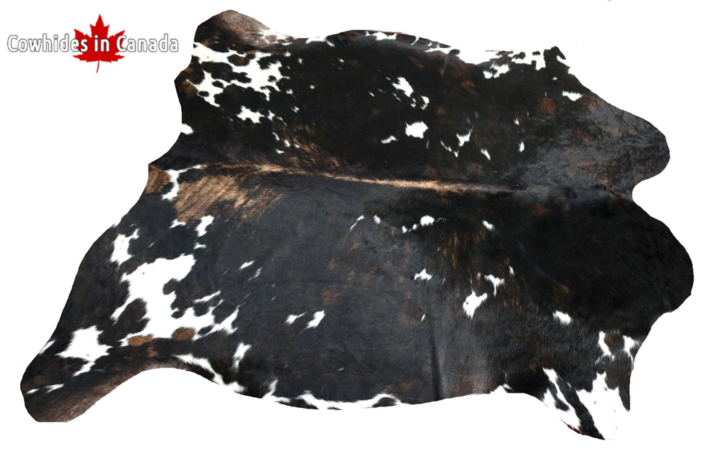 99352- Cowhide Rug TRICOLOR  - Premium Collection