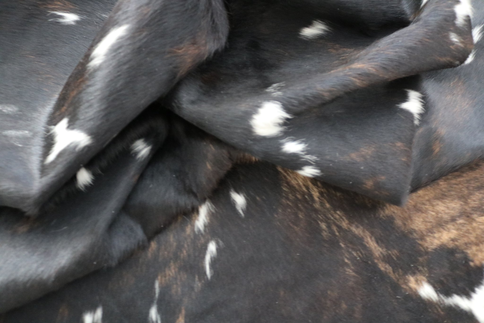 99352- Cowhide Rug TRICOLOR  - Premium Collection