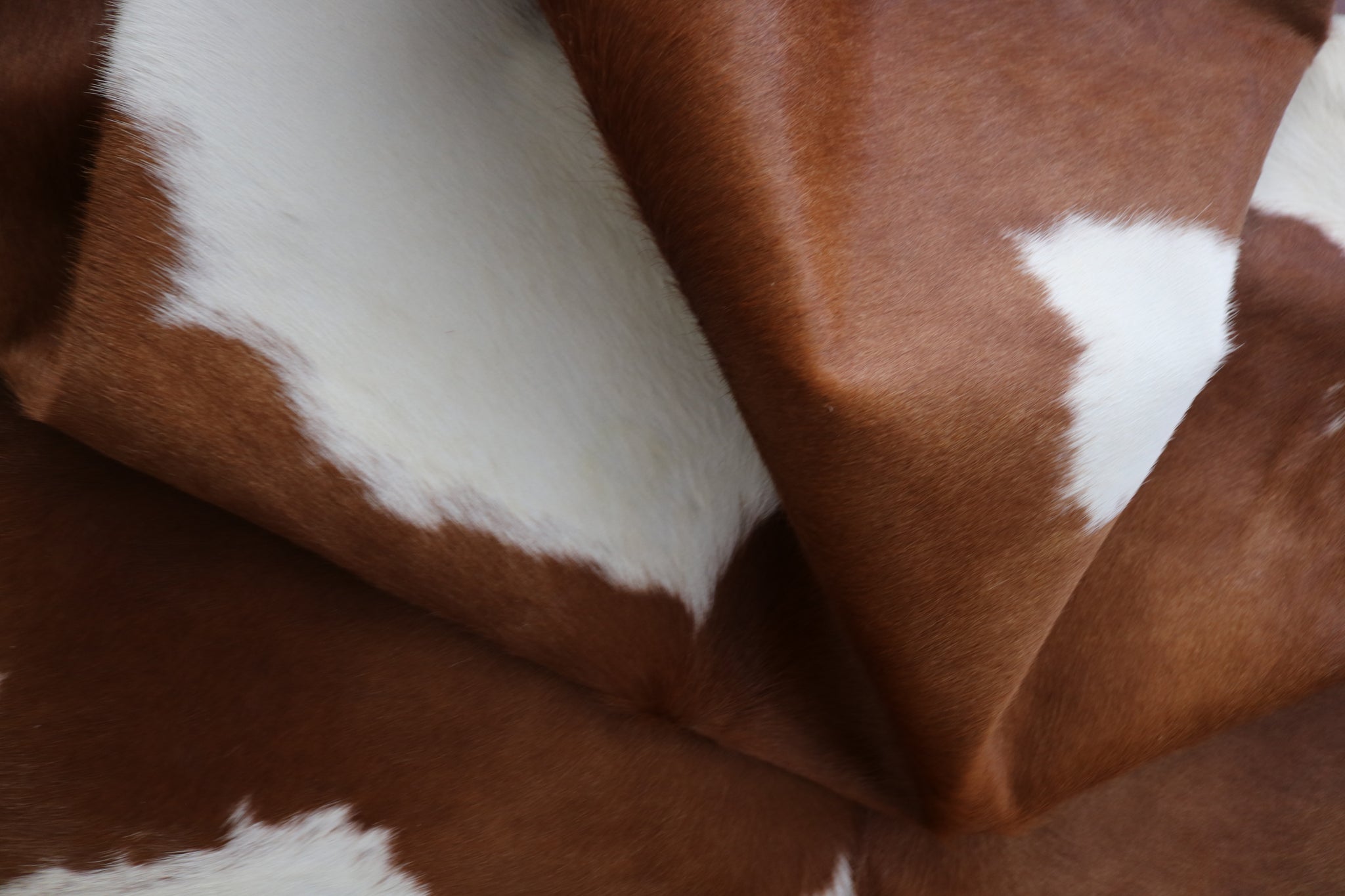 99353- Cowhide Rug BROWN & WHITE - Premium Collection