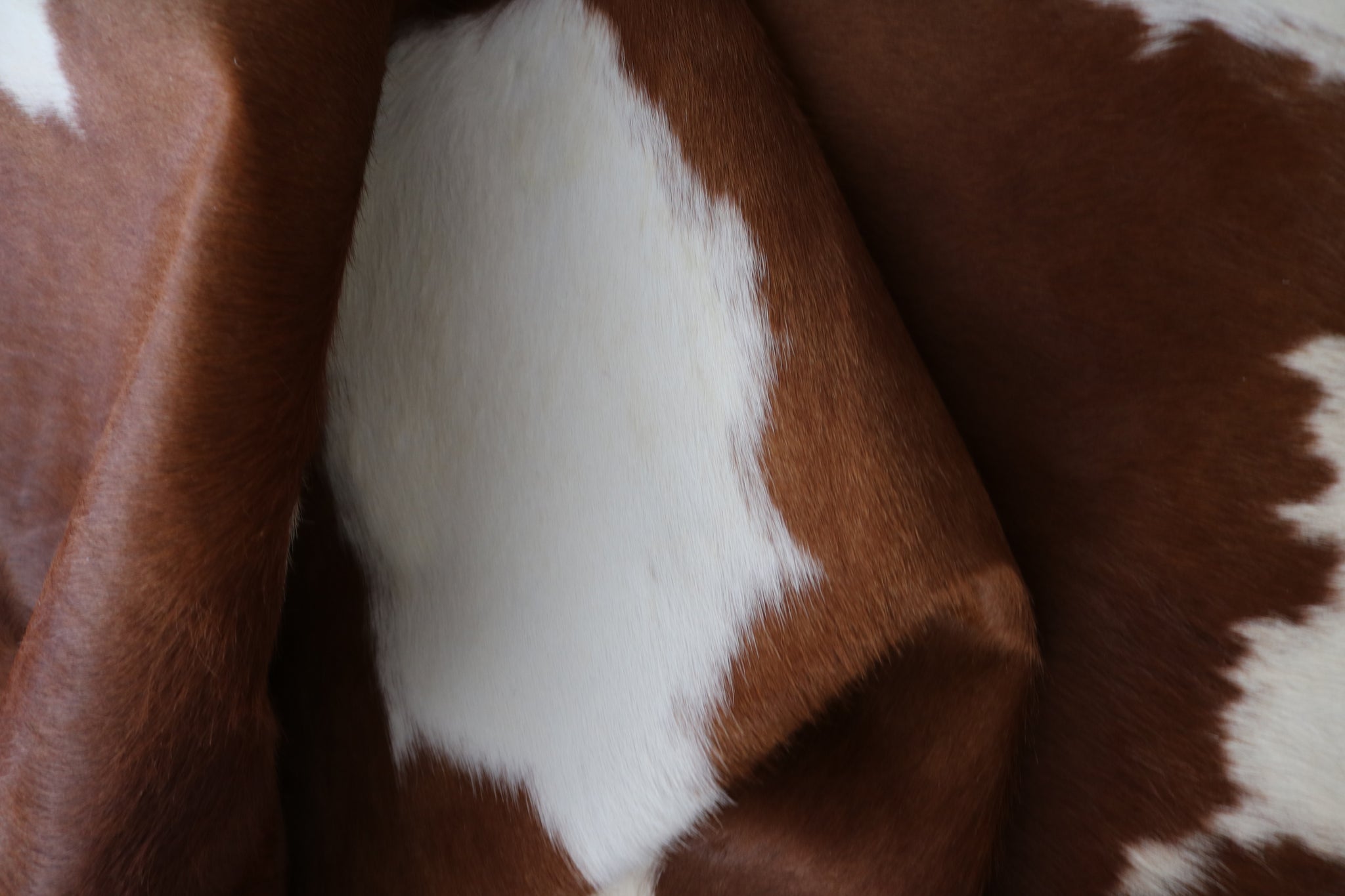 99353- Cowhide Rug BROWN & WHITE - Premium Collection