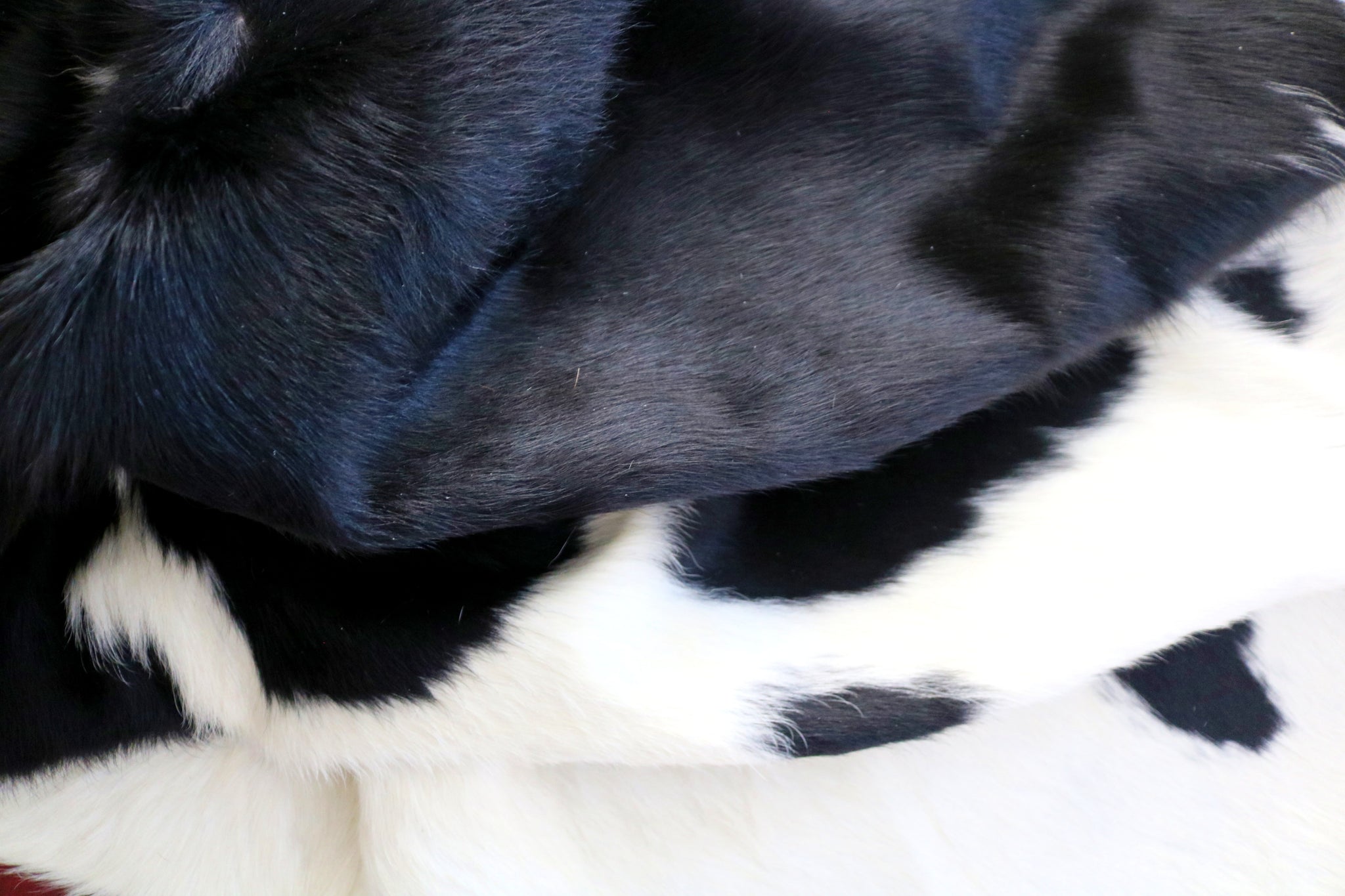 99354- Cowhide Rug BLACK & WHITE - Premium Collection