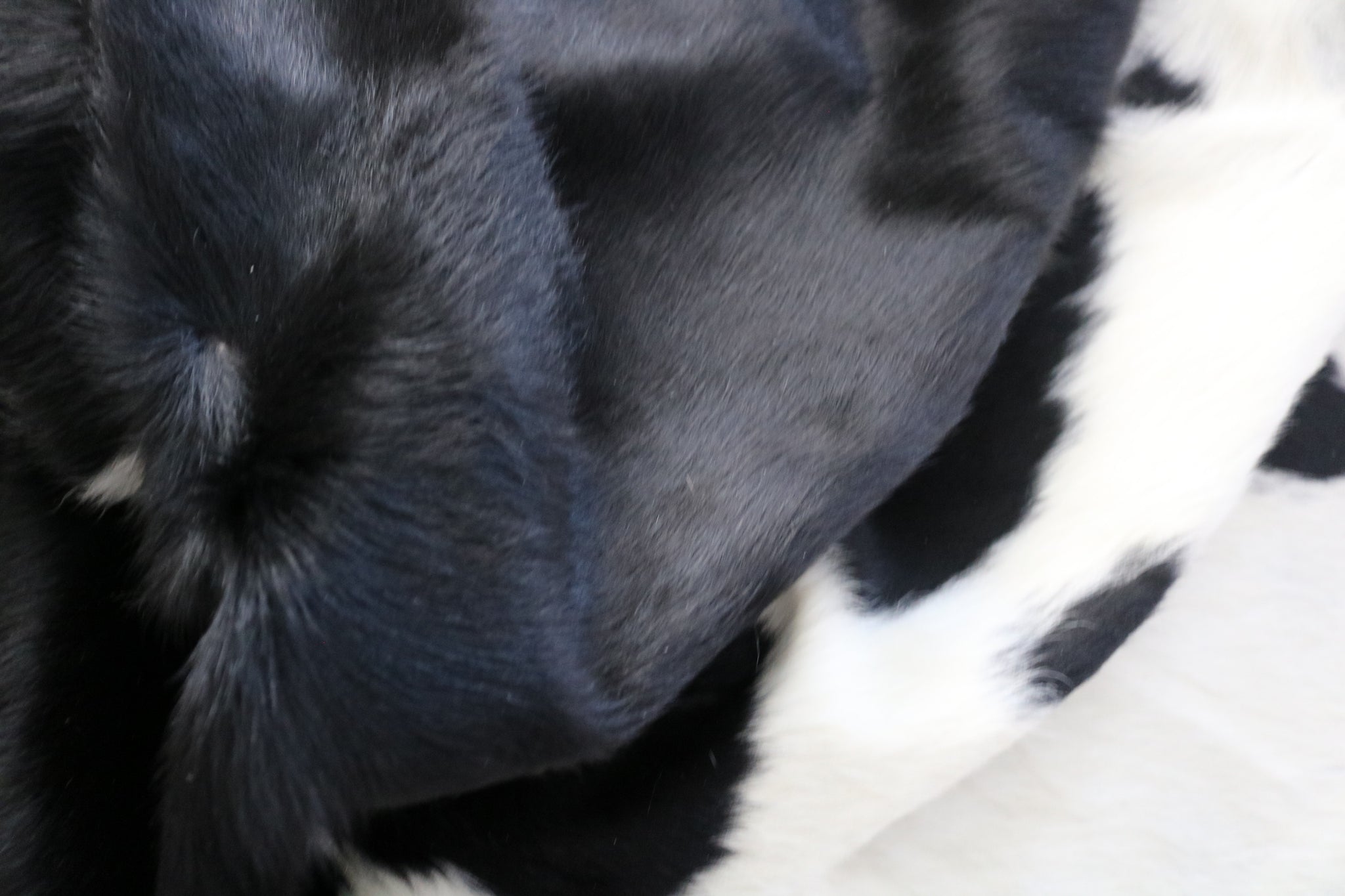 99354- Cowhide Rug BLACK & WHITE - Premium Collection