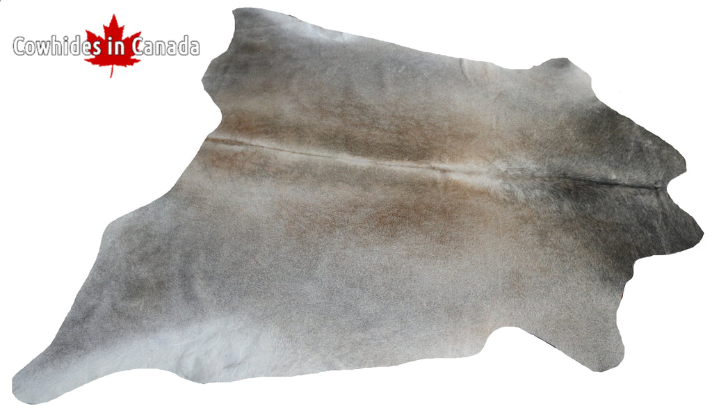 99355- Cowhide Rug GREY  & CHAROLAIS - Premium Collection