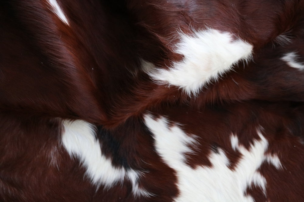 Big Real XXXL Cowhide Rug Tricolor. Premium Collection. Code 97029