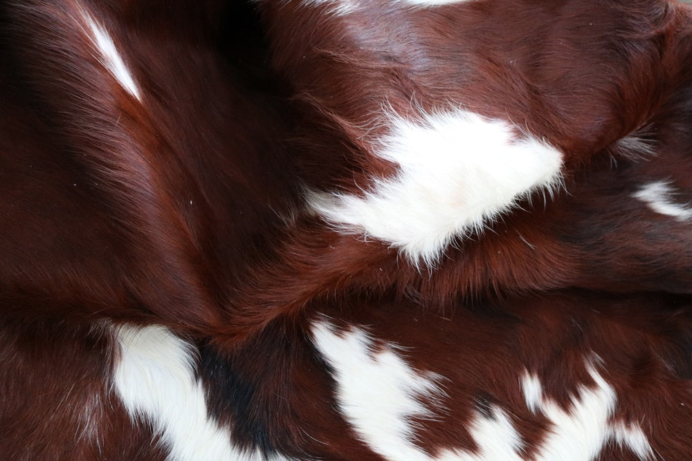 Big Real XXXL Cowhide Rug Tricolor. Premium Collection. Code 97029