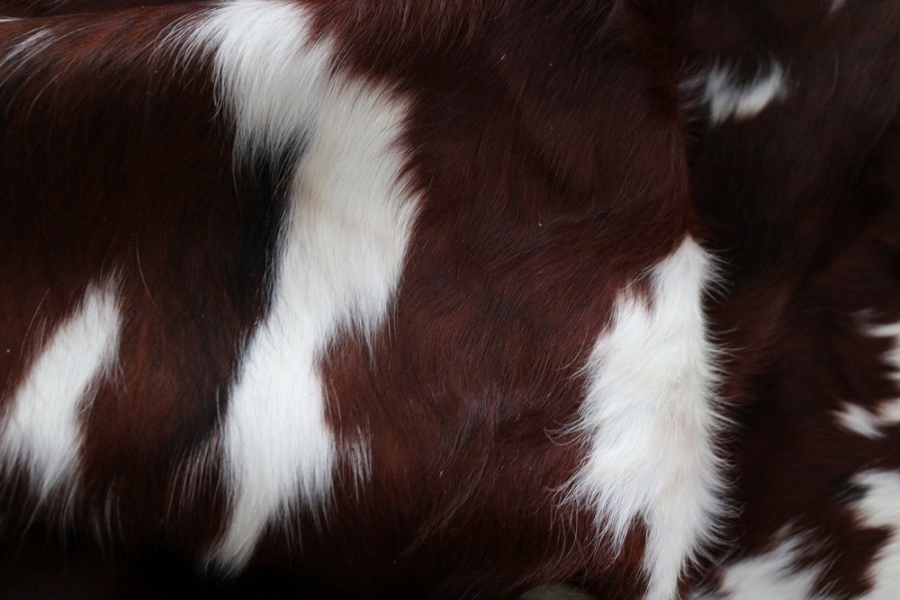 Big Real XXXL Cowhide Rug Tricolor. Premium Collection. Code 97029