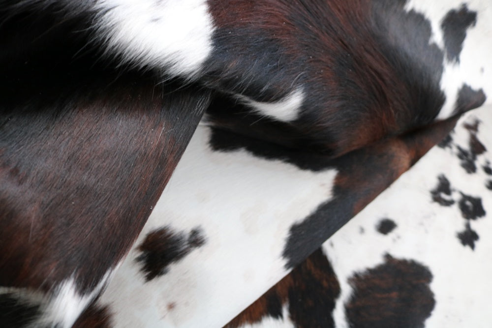 Big Real XXXL Cowhide Rug Tricolor. Premium Collection. Code 97033