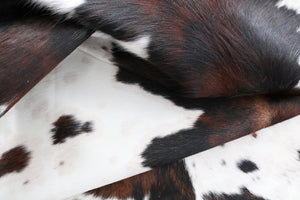 Big Real XXXL Cowhide Rug Tricolor. Premium Collection. Code 97033