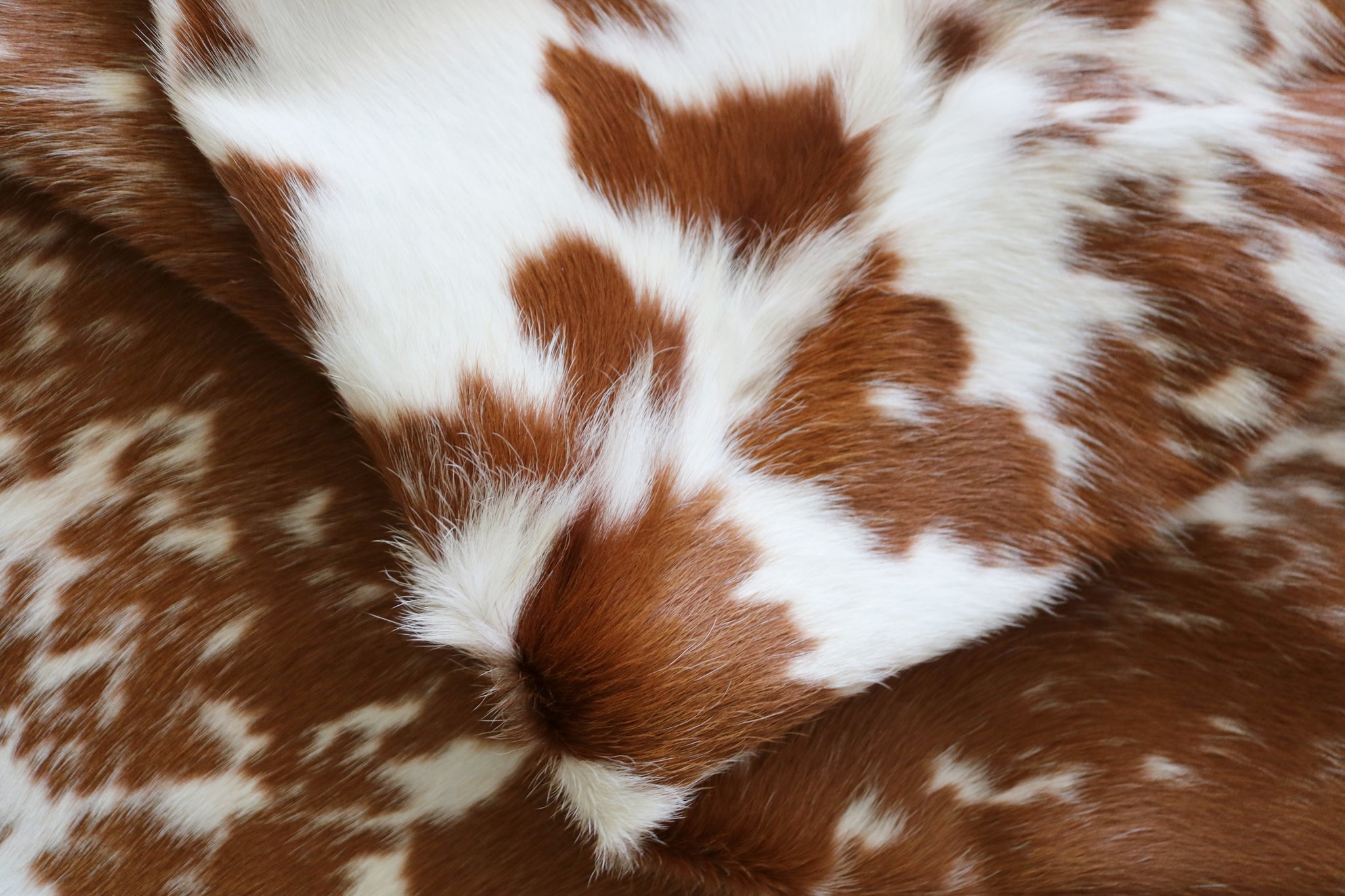 99359- Cowhide Rug BROWN & WHITE - Premium Collection