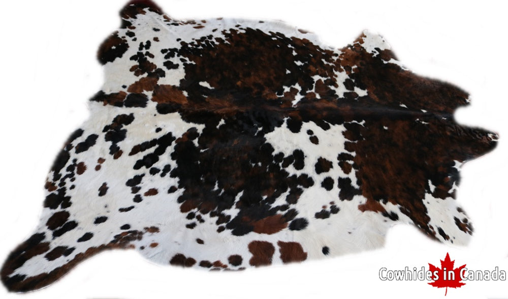 Big Real XXXL Cowhide Rug Tricolor. Premium Collection. Code 97034