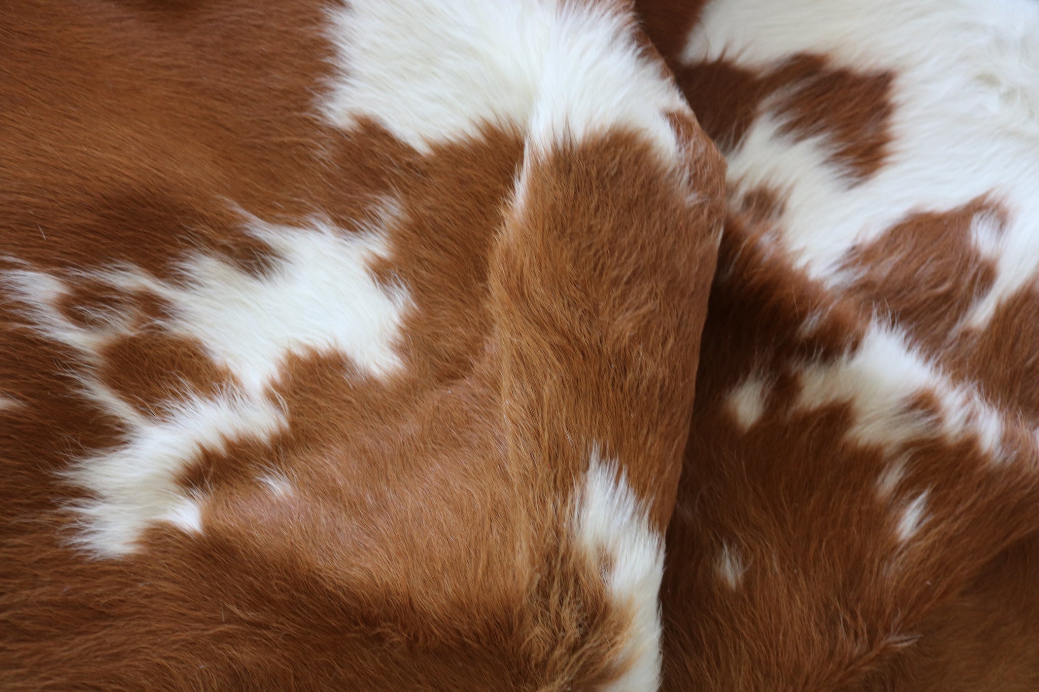 99360- Cowhide Rug BROWN & WHITE - Premium Collection