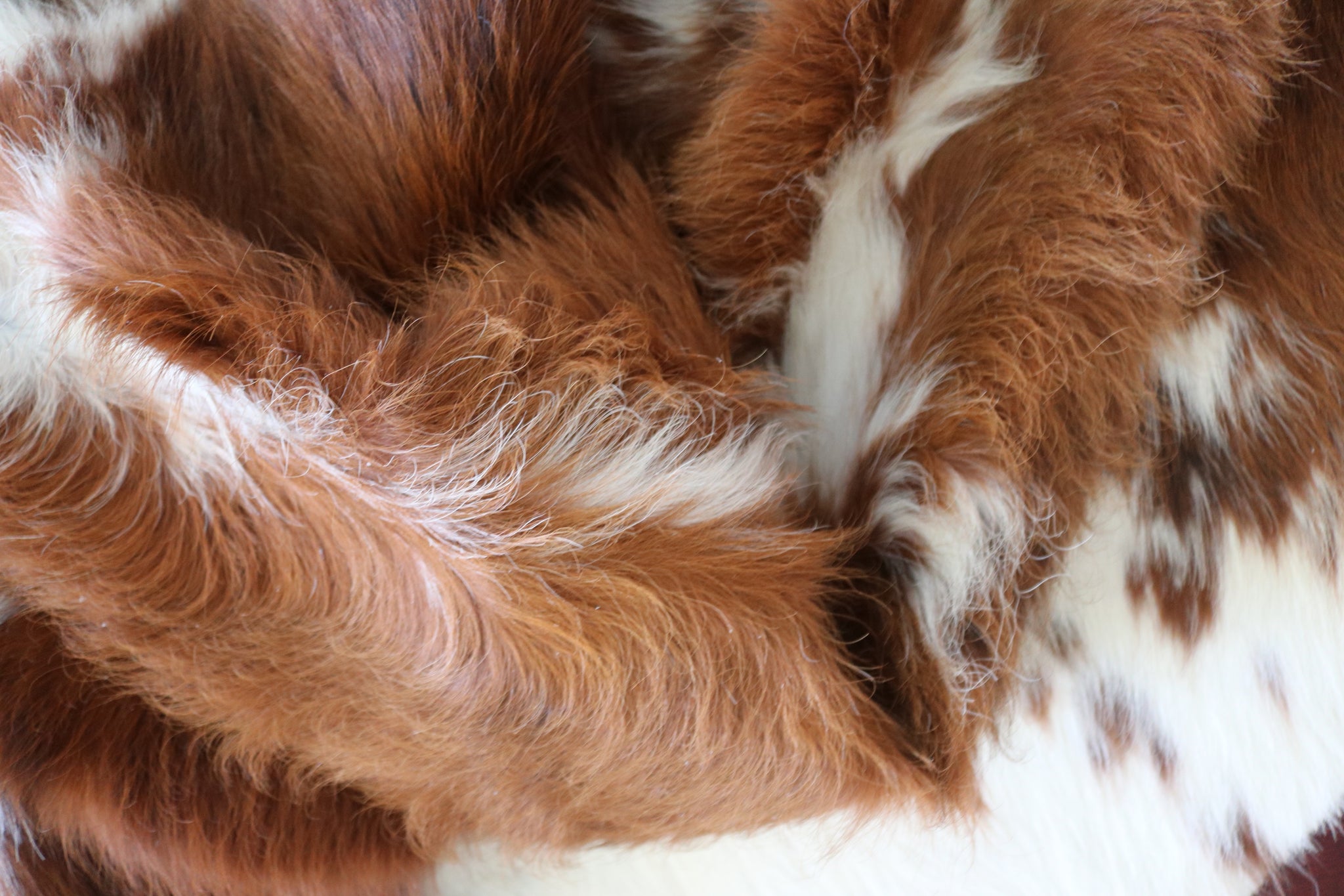 99361- Cowhide Rug TRICOLOR - Premium Collection