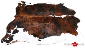 Big Real XXXL Cowhide Rug Tricolor. Premium Collection. Code 97036