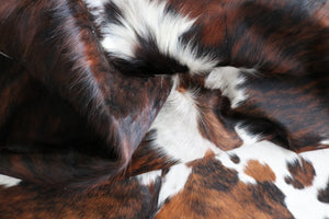 Big Real XXXL Cowhide Rug Tricolor. Premium Collection. Code 97039