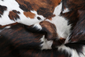 Big Real XXXL Cowhide Rug Tricolor. Premium Collection. Code 97039