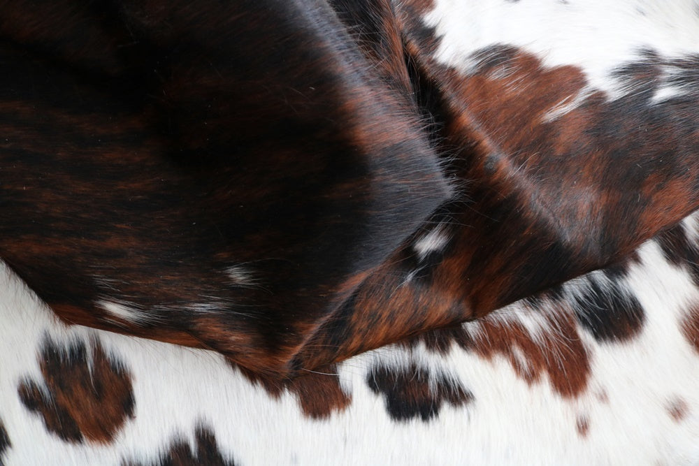 Big Real XXXL Cowhide Rug Tricolor. Premium Collection. Code 97039