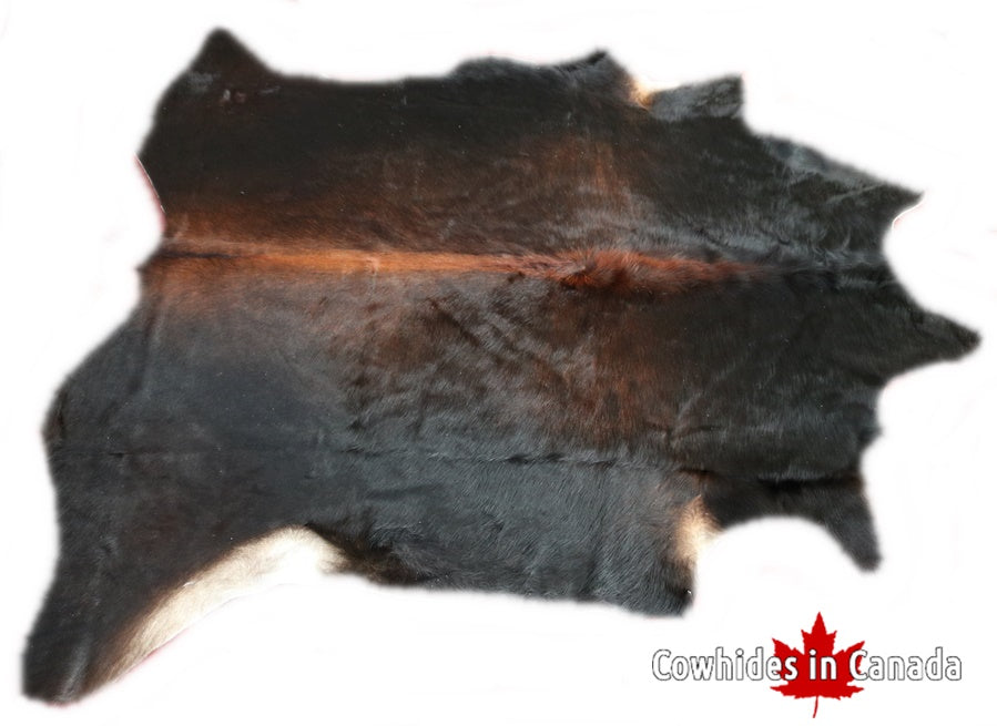 97042  Cowhide rug Collection Cowhides in Canada